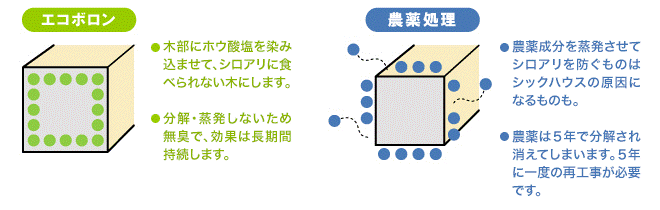 命に関わる問題 屋根裏の腐朽菌